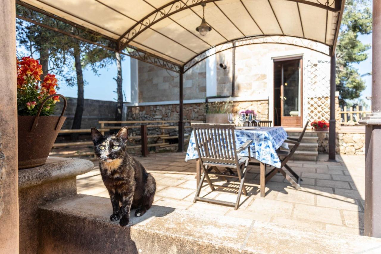 Villa Antonietta 알리스테 외부 사진